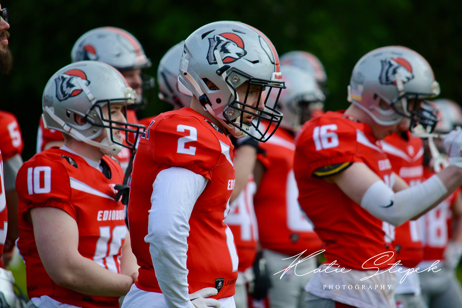 Edinburgh Wolves by Katie Stepek Photography